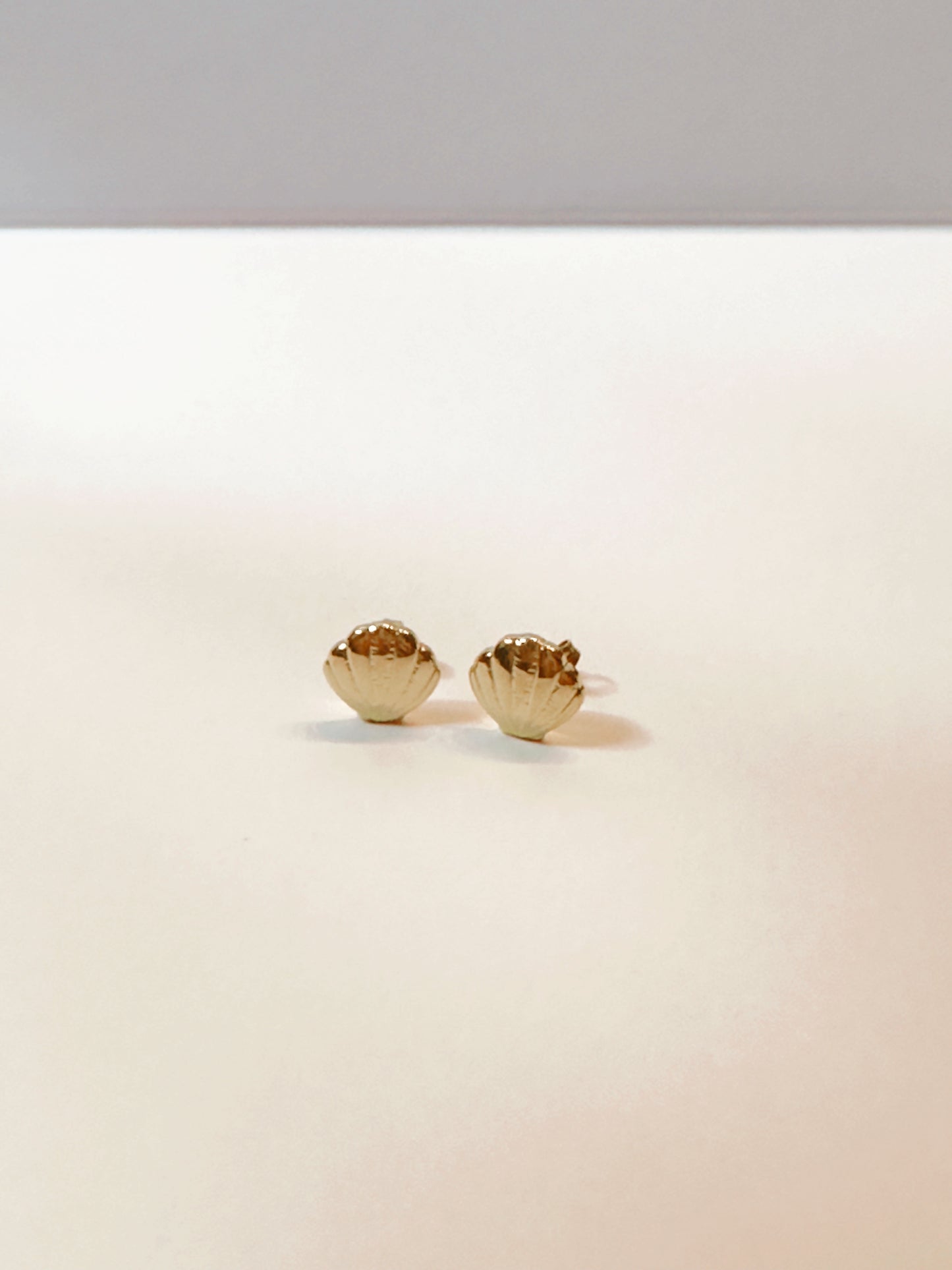 Shell Post Earrings