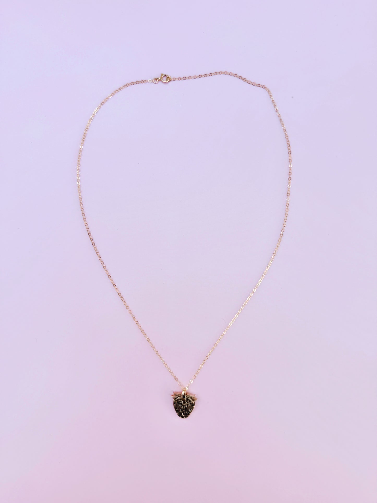 Bronze Strawberry Charm Necklace
