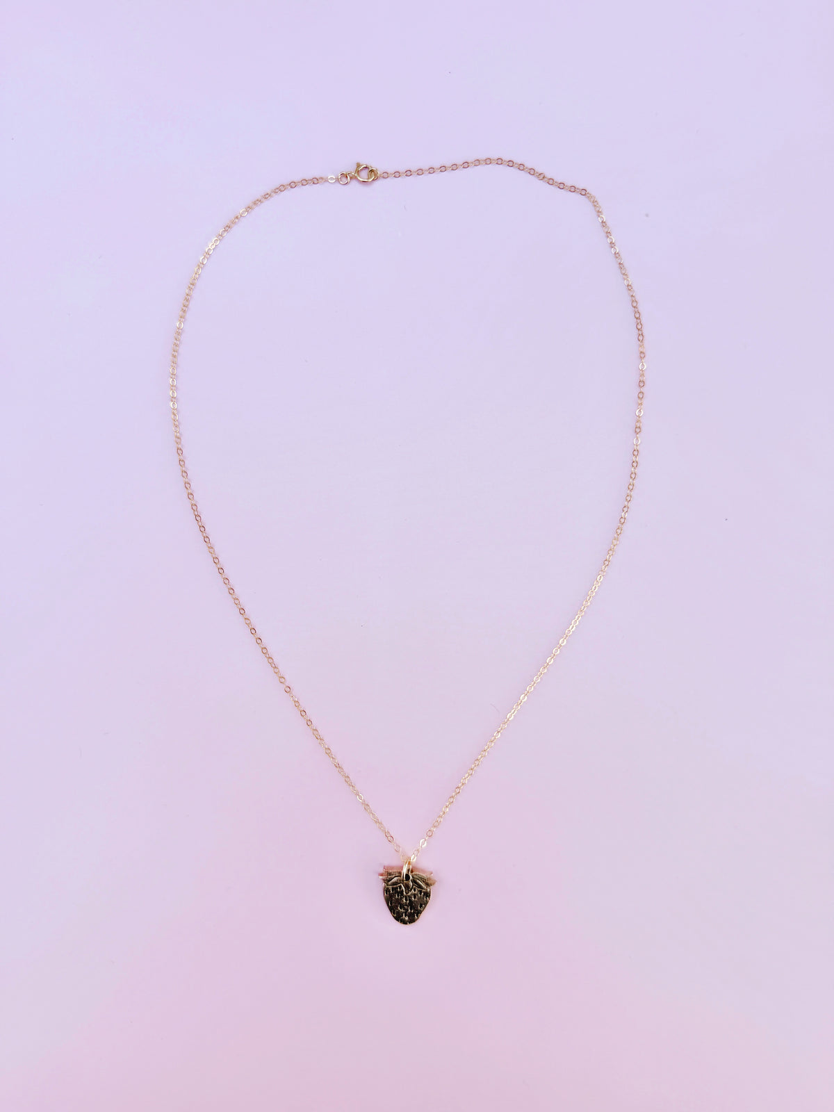 Bronze Strawberry Charm Necklace