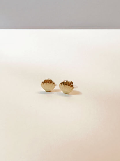 Shell Post Earrings